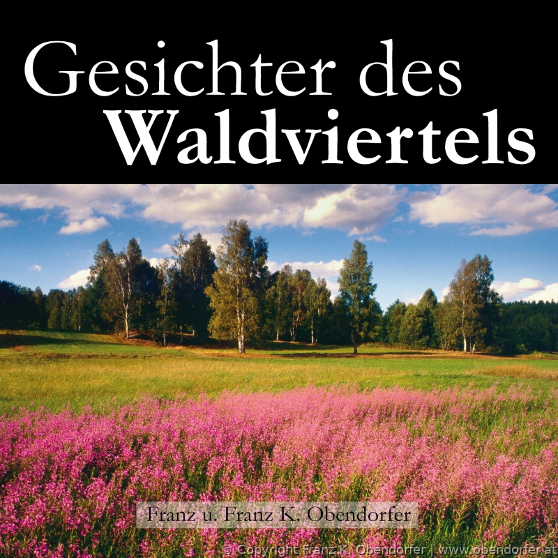 Preview gesichter_cover.jpg
